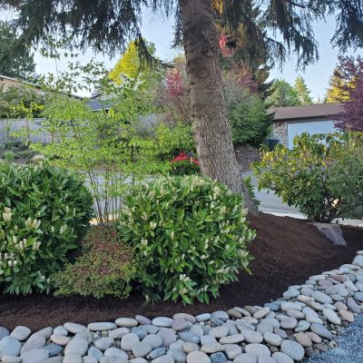 Santiago Lawn Care & Construction